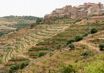 Spanien Weinseminar - Vuelta por España