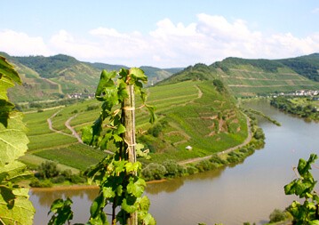 Deutschland Weinseminar - wieder Weltklasse! Deutschland Weinseminar - wieder Weltklasse!