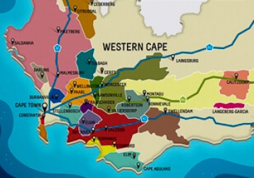 Südafrika Weinseminar - Weinrevolution am Kap Südafrika Weinseminar - Weinrevolution am Kap