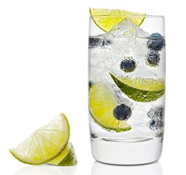 Gin Tasting - dem Trend auf der Spur Gin Tasting - dem Trend auf der Spur