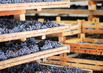 Amarone & Co. Weinseminar