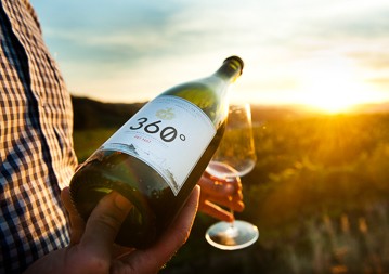 Österreich Weinseminar - eine Erfolgsgeschichte