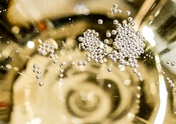 Spitzensekt jenseits der Masse!