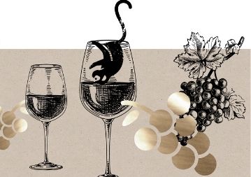 Online Rotwein Tasting - Qualität im Glas Online Rotwein Tasting - Qualität im Glas