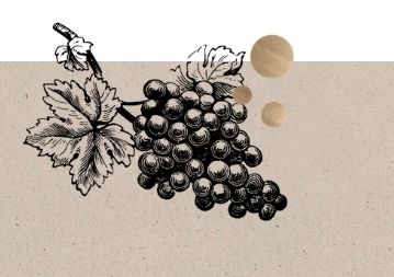 Online Wine Tasting - Weine, die man kennen muss - TEIL 1 Online Wine Tasting - Weine, die man kennen muss - TEIL 1