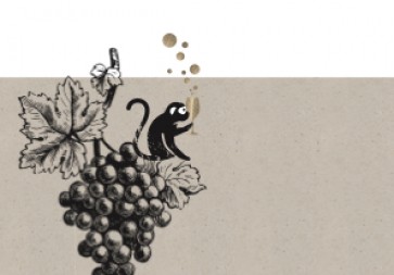 Online Champagner Tasting - Côte des Bar - der unterschätzte Süden Online Champagner Tasting - Côte des Bar - der unterschätzte Süden