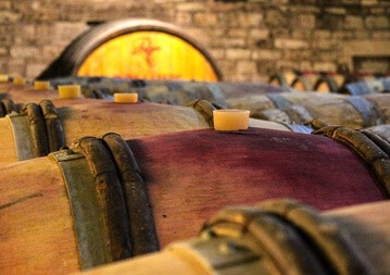 Burgund Weinseminar Burgund Weinseminar
