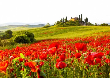 Toskana Weinseminar - Brunello, Chianti & Co.