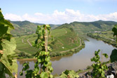 Weinseminare - Länder und Regionen Weinseminare Weinseminare - Länder und Regionen Weinseminare